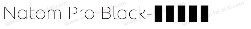 Natom Pro Black字体转换